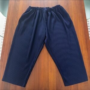 Common Market Men’s Navy Blue Plissé Accordion Pleated Pants Elastic Waist Large
